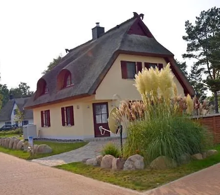 Aalhus * غلوفي